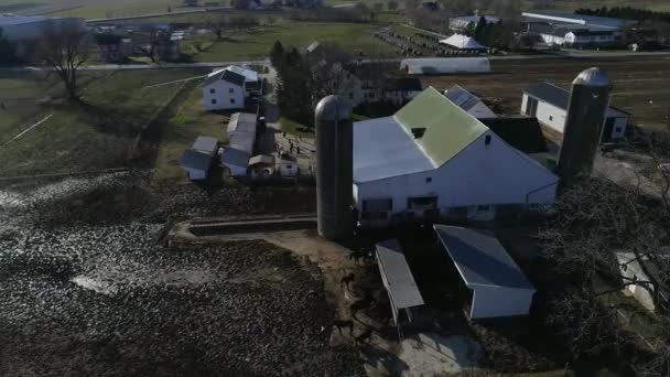 Amish Family Wedding Seen Drone — Stockvideo