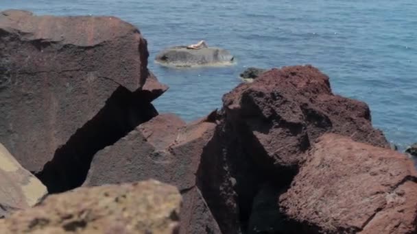 Červené Kameny Santorini Red Beach Žena Koupe Skále Rozmazaném Pozadí — Stock video