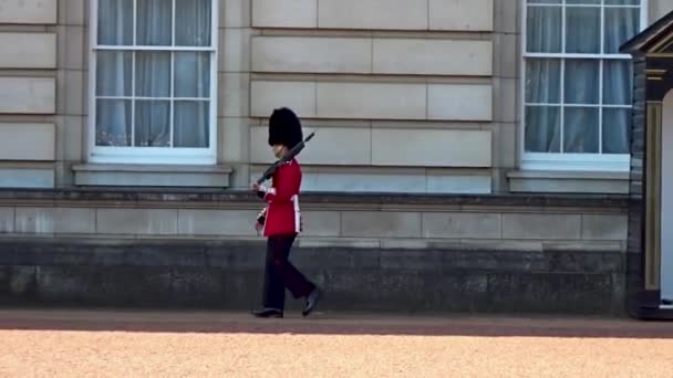 Londres Royal Guard Ícone Full — Vídeo de Stock