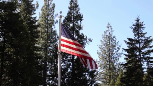 American Flag Close Sun Shining Green Forest Background — Stok video