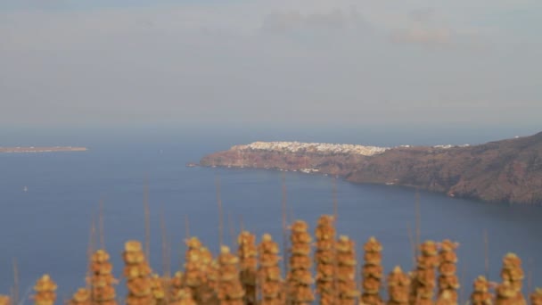 Wioska Oia Widziana Daleka Zbudowana Skraju Klifów Wyspie Santorini — Wideo stockowe
