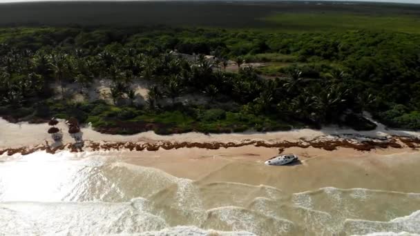 Arkasında Sargasso Yosunu Ağaçlarla Tulum Sahilinde Enkaz Halindeki Teknenin Insansız — Stok video