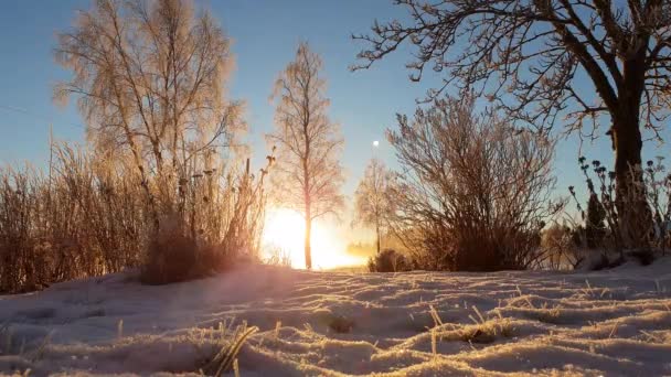 Natur Vila Lappland Finland — Stockvideo