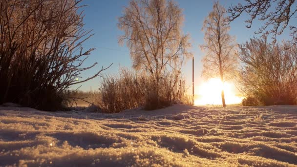 Suhu Dingin Ekstrim Daerah Iklim Kutub — Stok Video