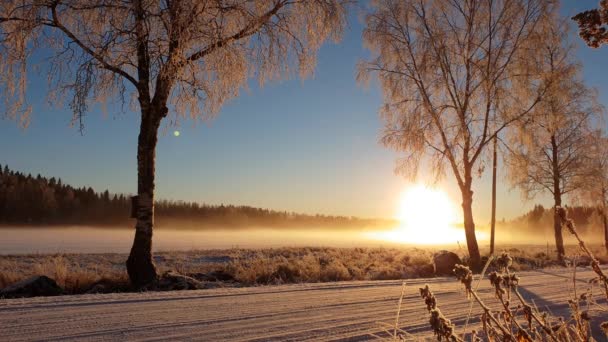 Mañana Tranquila Tranquila Con Amanecer Dorado Naturaleza Polar Ártica Intacta — Vídeos de Stock