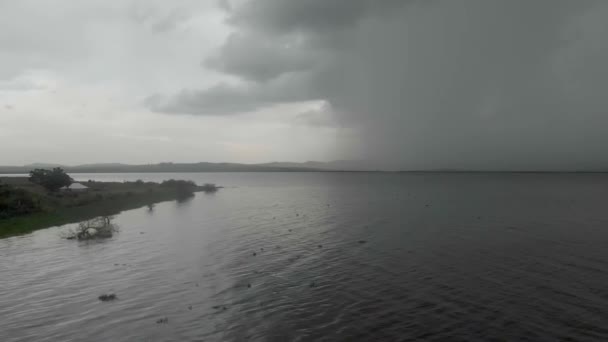 水平線に雨を注ぐ大きな嵐とビクトリア湖の上に低く飛んで空中ショット — ストック動画