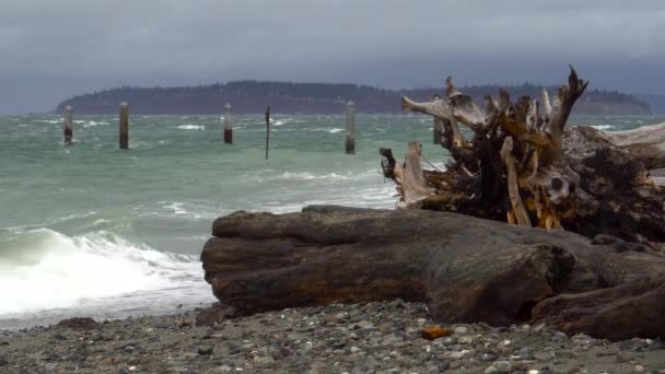 Puget Sound Sturmwellen Brechen Einem Mit Treibholz Bedeckten Strand Als — Stockvideo