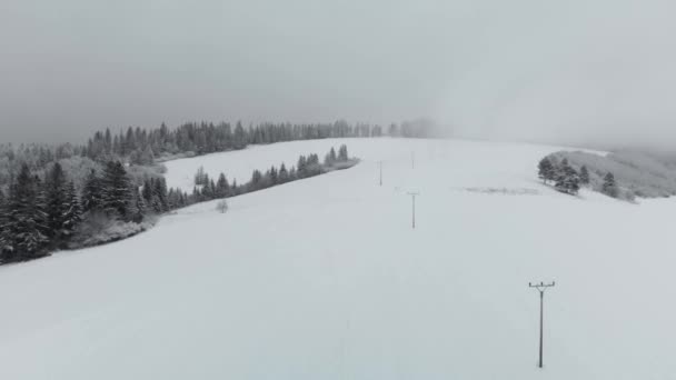 Establecimiento Aéreo Tiro Sobre Paisaje Cubierto Nieve Con Líneas Eléctricas — Vídeo de stock