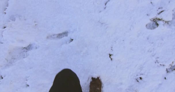 Медленное Движение Снимка Сапог Человека Идет Густому Снегу Белом Поле — стоковое видео