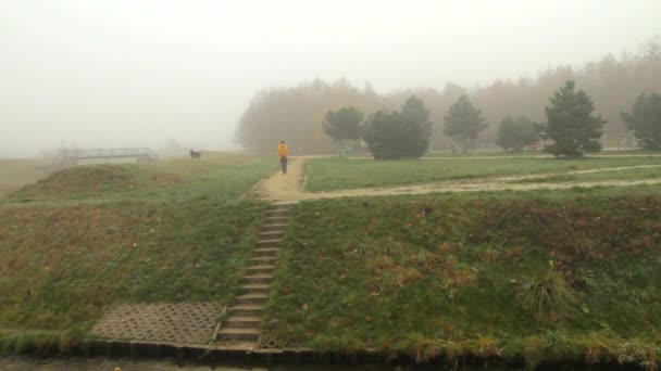 Woman Her Dog Taking Morning Walk Foggy City Park — Stock video