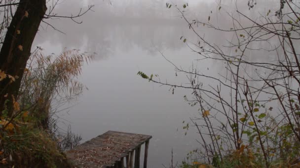 Small Lake Pier Foggy Misty Morning Autumn — Stockvideo