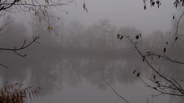 Part Small Lake Reflecting Trees Bank Foggy Misty Morning Very — Vídeos de Stock