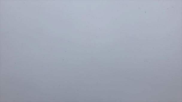Πτώση Χιόνι Συννεφιά Την Πιθανότητα Κεφτέδες — Αρχείο Βίντεο