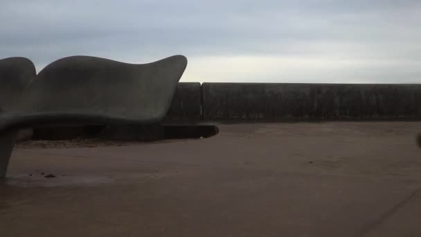 カメラは2つのクジラの尾の形のベンチの間を移動し 壁の上に立ち上がり 遠くにチョッピー海を表示します — ストック動画