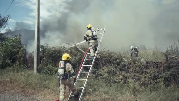 Firefighters Action Farm Flames Chile — Video Stock