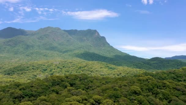 Drone Aproaching Treetops Rainforest Mountain Estrada Graciosa Serra Marumbi Brazil — Vídeo de Stock