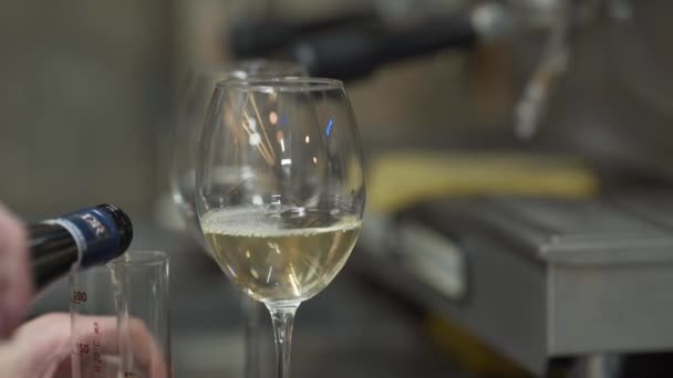 Mannelijke Handen Gieten Fles Witte Wijn Champagne Doorzichtig Schoon Rond — Stockvideo