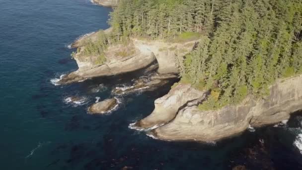 Cape Flattery Final Tarde — Vídeos de Stock