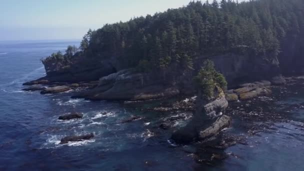 Cape Flattery Pila Mar — Vídeo de stock