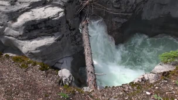 Vodopád Říčního Kaňonu Záběry — Stock video