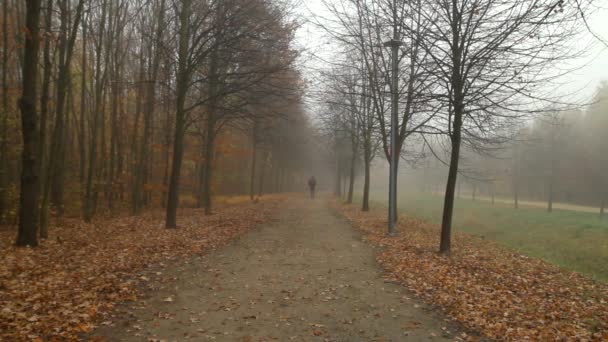 Homme Marche Dans Brouillard Chemin Parc Ville — Video