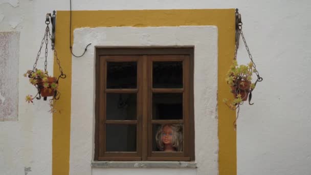 Window Flowers Creepy Doll — Stok Video