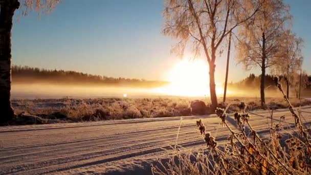 Time Lapse Dancing Mist Frozen Lake Lit Golden Sunrise Idyllic — Stock video