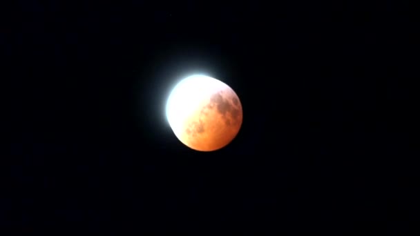 Full Blood Wolf Moon Lunar Eclipse January 2019 Timelapse Shot — Stock videók