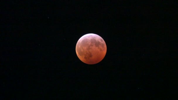 Full Blood Wolf Moon Lunar Eclipse January 2019 Thin Clouds — 图库视频影像