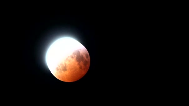 Full Blood Wolf Moon Lunar Eclipse January 2019 Timelapse Shot — 图库视频影像