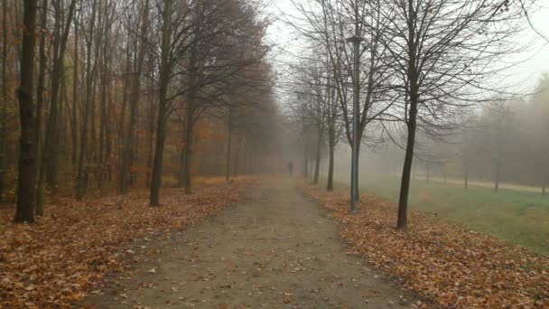Man Walking Foggy City Park Path Autumn Approaches Camera See — стоковое видео