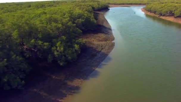Low Pass Water Lake Covered Big Mangroves Forest — Vídeo de Stock