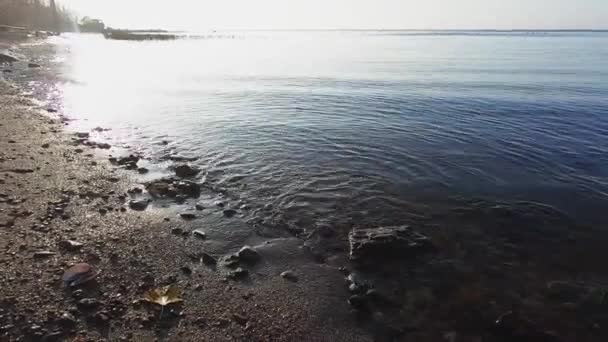 Water Rinsess Rocky Shore — Αρχείο Βίντεο
