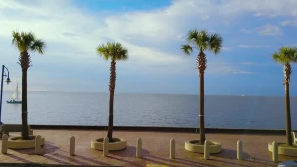 Lake Pontchartrain New Orleans Ett Bra Ställe Att Fiska Segla — Stockvideo