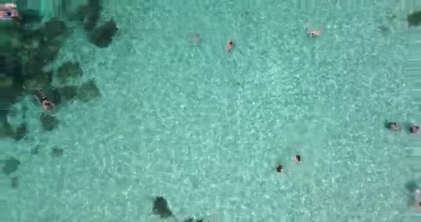 Aerial Overhead Footage People Bathing Shallow Sandy Beach Camera Flies — Stock videók