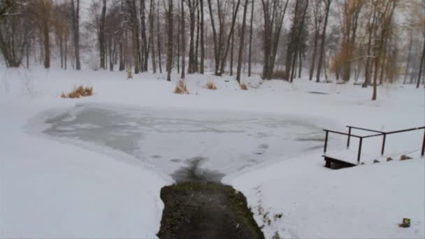 Man Strolling Snowy Park Heavy Snow Fall — Wideo stockowe