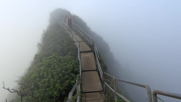 Young Woman Walks Cloud High Haiku Stairs — Stock video