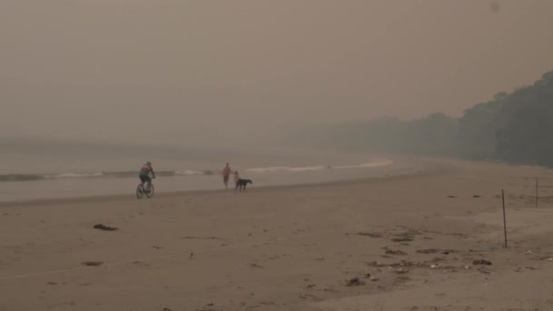 Person Rides Bike While Dogs Child Plays Beach Surrounded Smoke — Stock Video