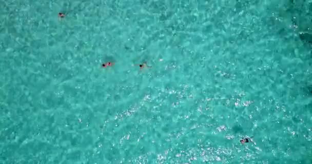 Aerial Shot Swimmers Sandy Beach Camera Tilps Reveal Holiday Resort — 图库视频影像