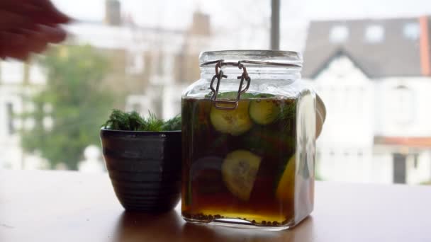 Closing Jar Pickles Front Pickled Cucumber Gherkins — Vídeo de Stock