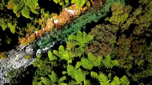 Underbar Kristallklar Flod Naturligt Källvatten Som Rinner Genom Bergen Nya — Stockvideo