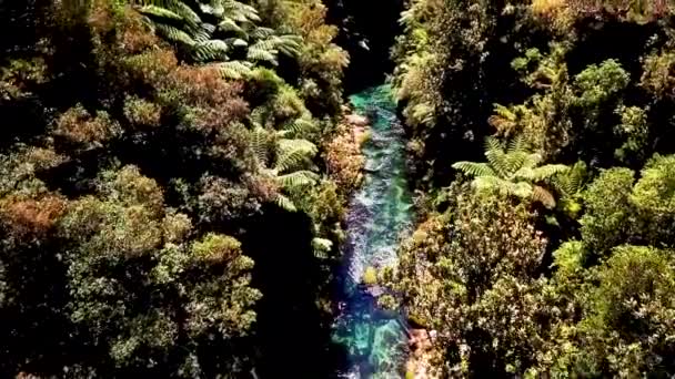 Gorgeous Crystal Clear River Natural Spring Water Flowing Mountains New — Stock Video