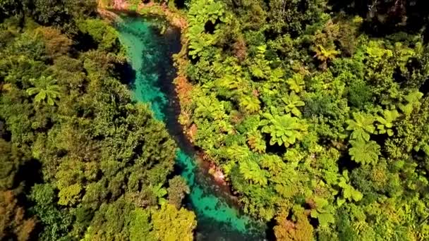 Великолепная Кристально Чистая Река Естественной Родниковой Воды Протекающей Через Горы — стоковое видео
