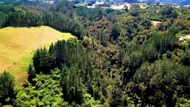 Hermoso Río Cristalino Agua Manantial Natural Que Fluye Través Las — Vídeos de Stock