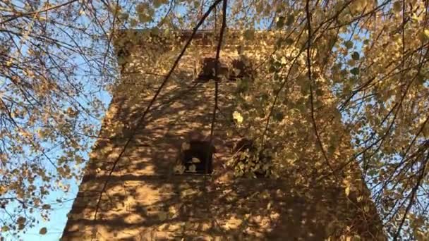 Pan Church Tower Autumn Leaves Falling Blue Sky Girsterklaus Luxembourg — Stockvideo