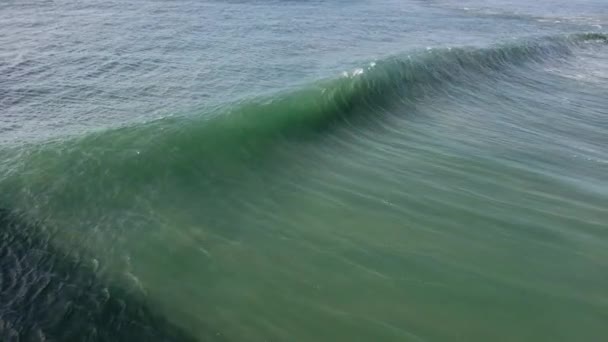 Footage Large Wave Breaking Pier Huntington Beach California — Video Stock