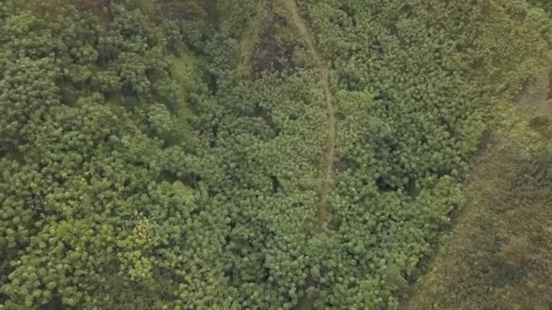 Bottom Segment Haiku Stairs Steep — Videoclip de stoc