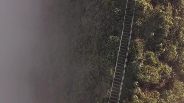 Oahu Haiku Stairs Top — Vídeo de stock