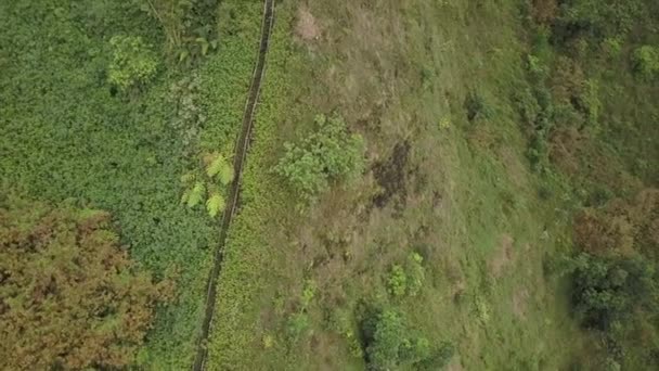 Haiku Stairs Oahu Climb Steep Ridge — Stockvideo