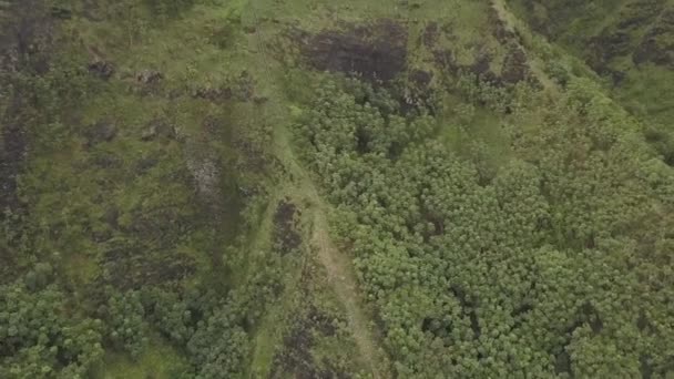 Some Haiku Stairs 4000 Steps — Stock video